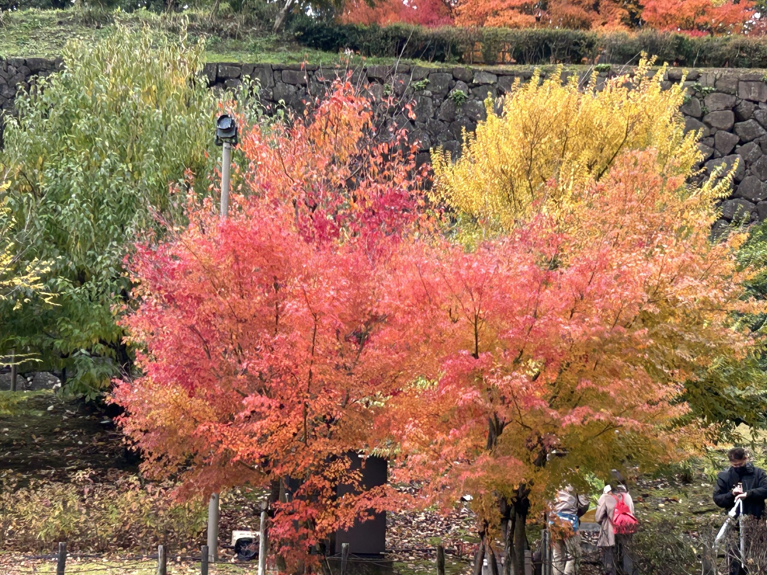 Qigong Probestunde Berlin